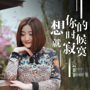 云菲菲《想你的时候就寂寞》Flac/MP3格式 无损音乐下载-无损音乐源