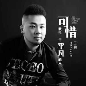王韵《可惜我是一个平凡的人》Flac/MP3格式 无损音乐下载-无损音乐源