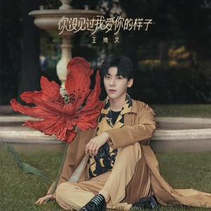 王博文《你没见过我爱你的样子》Flac/MP3格式 无损音乐下载-无损音乐源
