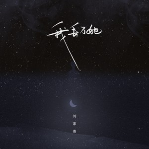 刘家奇阿《我丢了她》Flac/MP3格式 无损音乐下载-无损音乐源