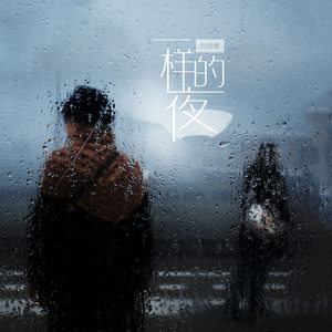 刘增瞳《一样的夜》Flac/MP3格式 无损音乐下载-无损音乐源