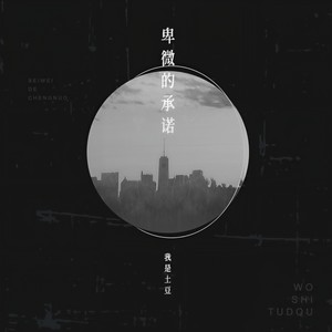 我是土豆《卑微的承诺》Flac/MP3格式 无损音乐下载-无损音乐源
