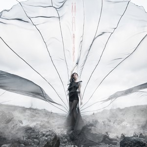 林凡Freya《明明爱你》Flac/MP3格式 无损音乐下载-无损音乐源