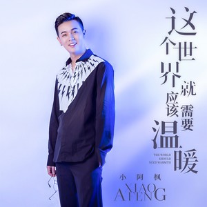 小阿枫《这个世界就应该需要温暖》Flac/MP3格式 无损音乐下载-无损音乐源
