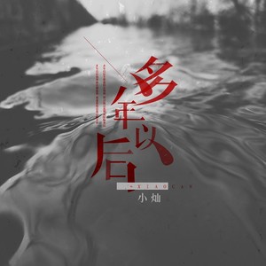小灿《多年以后》Flac/MP3格式 无损音乐下载-无损音乐源