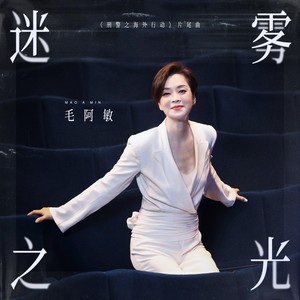 毛阿敏《迷雾之光》Flac/MP3格式 无损音乐下载-无损音乐源