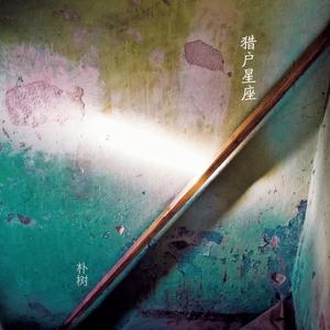 朴树《XX青春》Flac/MP3格式 无损音乐下载-无损音乐源