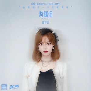 黄霄雲《海豚泪》Flac/MP3格式 无损音乐下载-无损音乐源