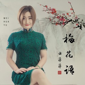 云菲菲《梅花语》Flac/MP3格式 无损音乐下载-无损音乐源