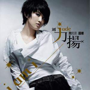 刘力扬《雨念》Flac/MP3格式 无损音乐下载-无损音乐源