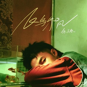 朱兴东《飞鸟和风》Flac/MP3格式 无损音乐下载-无损音乐源