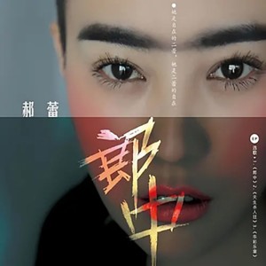 郝蕾《华彩乐章》Flac/MP3格式 无损音乐下载-无损音乐源