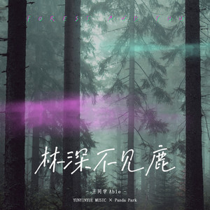 王同学Able《林深不见鹿》Flac/MP3格式 无损音乐下载-无损音乐源
