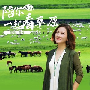 龙梅《陪你一起看草原》Flac/MP3格式 无损音乐下载-无损音乐源