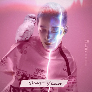 曾轶可《害羞》Flac/MP3格式 无损音乐下载-无损音乐源