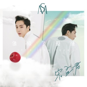 宋孟君《像极了爱情》Flac/MP3格式 无损音乐下载-无损音乐源