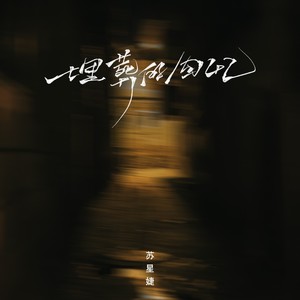 苏星婕《埋葬的回忆》Flac/MP3格式 无损音乐下载-无损音乐源