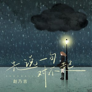 赵乃吉《先说一句对不起》Flac/MP3格式 无损音乐下载-无损音乐源