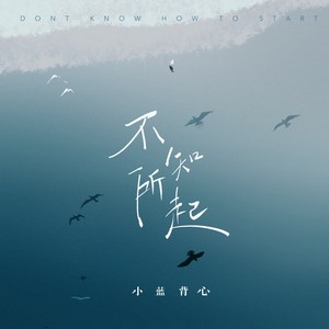 小蓝背心《不知所起》Flac/MP3格式 无损音乐下载-无损音乐源