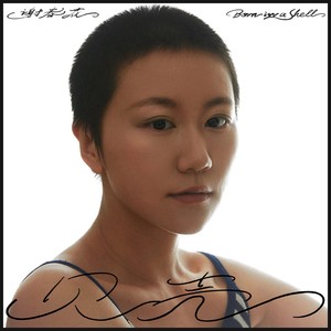 谢春花《贝壳》Flac/MP3格式 无损音乐下载-无损音乐源