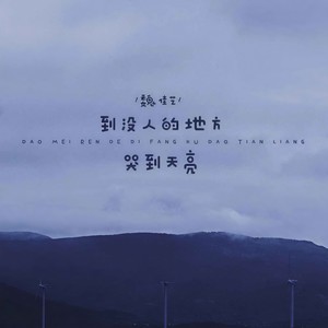 魏佳艺《到没人的地方哭到天亮》Flac/MP3格式 无损音乐下载-无损音乐源