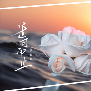 尹昔眠《适可而止》Flac/MP3格式 无损音乐下载-无损音乐源