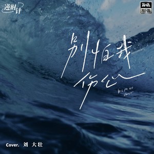 刘大壮《别怕我伤心》Flac/MP3格式 无损音乐下载-无损音乐源