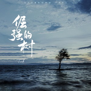 Tank《倔强的树》Flac/MP3格式 无损音乐下载-无损音乐源