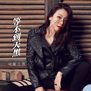 司徒兰芳《等不到天黑》Flac/MP3格式 无损音乐下载-无损音乐源