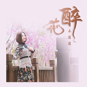 云菲菲《花醉》Flac/MP3格式 无损音乐下载-无损音乐源