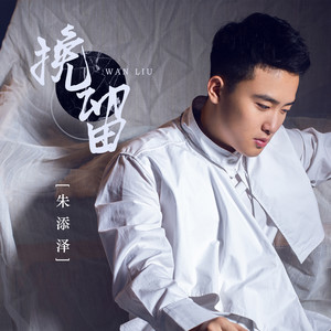 朱添泽《挽留》Flac/MP3格式 无损音乐下载-无损音乐源