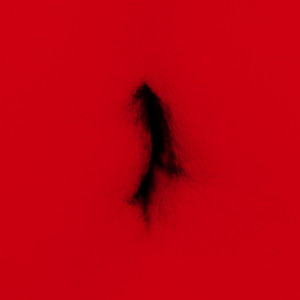 丁薇《纪念》Flac/MP3格式 无损音乐下载-无损音乐源