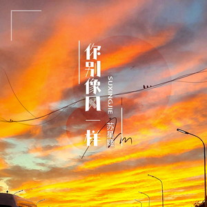 苏星婕《你别像风一样》Flac/MP3格式 无损音乐下载-无损音乐源