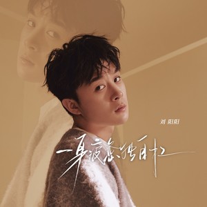 刘阳阳《一身疲惫独自扛》Flac/MP3格式 无损音乐下载-无损音乐源