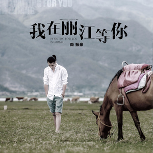 颜振豪《柔软时光》Flac/MP3格式 无损音乐下载-无损音乐源