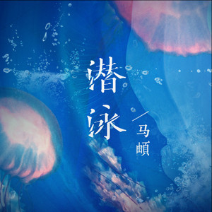 马頔《潜泳》Flac/MP3格式 无损音乐下载-无损音乐源