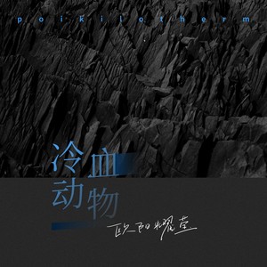 欧阳耀莹《冷血动物》Flac/MP3格式 无损音乐下载-无损音乐源