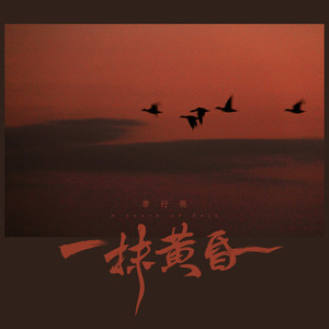 李行亮《一抹黄昏》Flac/MP3格式 无损音乐下载-无损音乐源