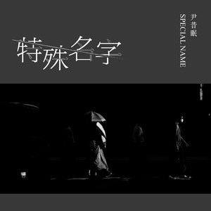 尹昔眠《特殊名字》Flac/MP3格式 无损音乐下载-无损音乐源