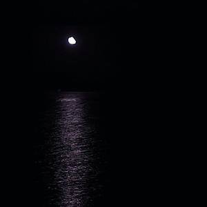 Kim.T《我是一只鱼》Flac/MP3格式 无损音乐下载-无损音乐源