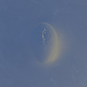 海龟先生《迷呓之喑》Flac/MP3格式 无损音乐下载-无损音乐源