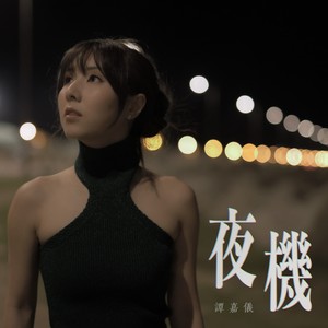 谭嘉仪《夜机》Flac/MP3格式 无损音乐下载-无损音乐源