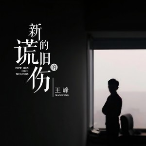 王峰《新的谎旧的伤》Flac/MP3格式 无损音乐下载-无损音乐源