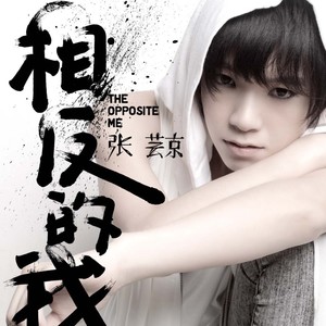 张芸京《坏了》Flac/MP3格式 无损音乐下载-无损音乐源