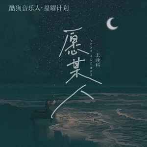王泽科《愿某人》Flac/MP3格式 无损音乐下载-无损音乐源