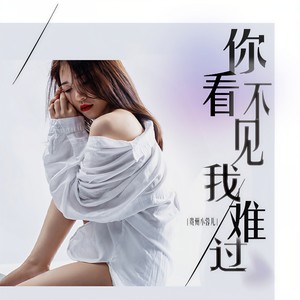 贵州小蓉儿《你看不见我难过》Flac/MP3格式 无损音乐下载-无损音乐源