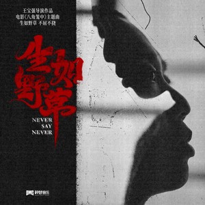 GAI周延《生如野草》Flac/MP3格式 无损音乐下载-无损音乐源