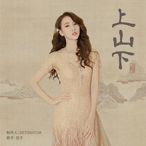 弦子《上山下》Flac/MP3格式 无损音乐下载-无损音乐源