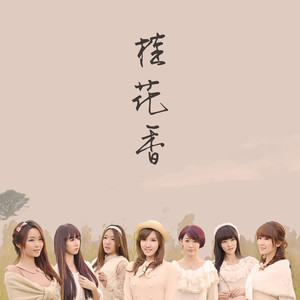 七朵组合《桂花香》Flac/MP3格式 无损音乐下载-无损音乐源