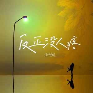 怪阿姨《反正没人疼》Flac/MP3格式 无损音乐下载-无损音乐源